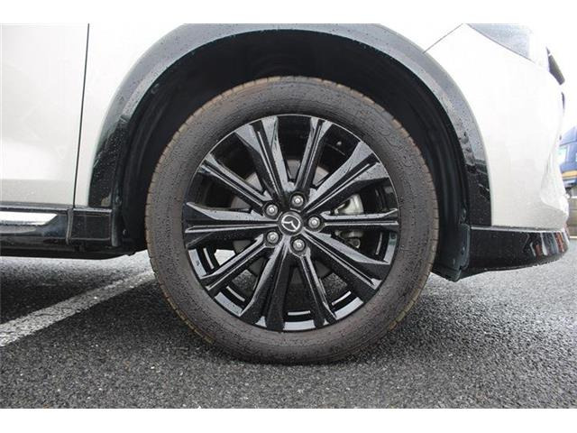 ���Ǝҗl�ւ̔̔��͂��f�肳���Ă��������܂��B�Ԍ������ԗ��̏ꍇ�́A�Ԍ����擾�������x�������z�ŕ\�����Ă���܂��B