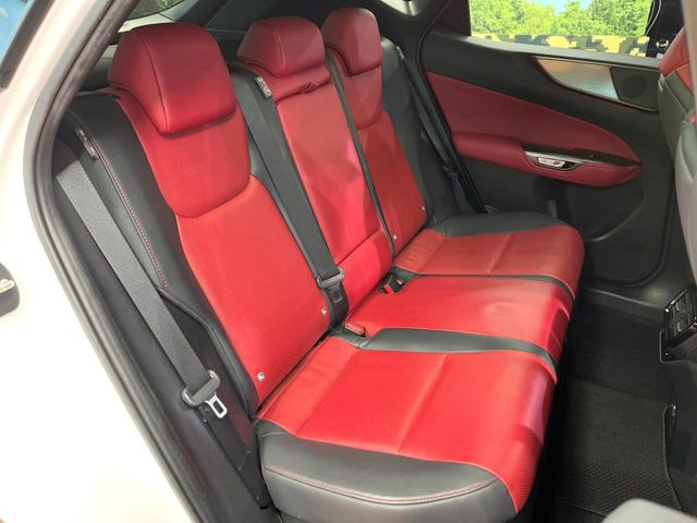 �㕔���Ȃ��C�ɂȂ�悤�ȃL�Y�E�����ւ��蓙�A�傫�ȃ_���[�W�͂Ȃ��A�ǍD�ȏ�Ԃł��B