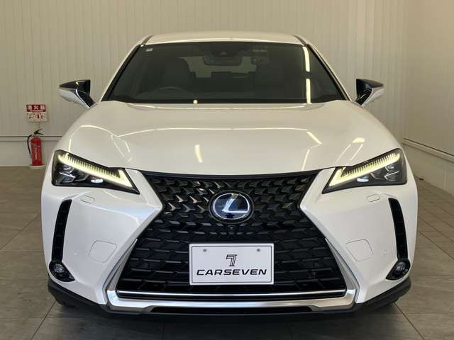 UX300e バージョンL