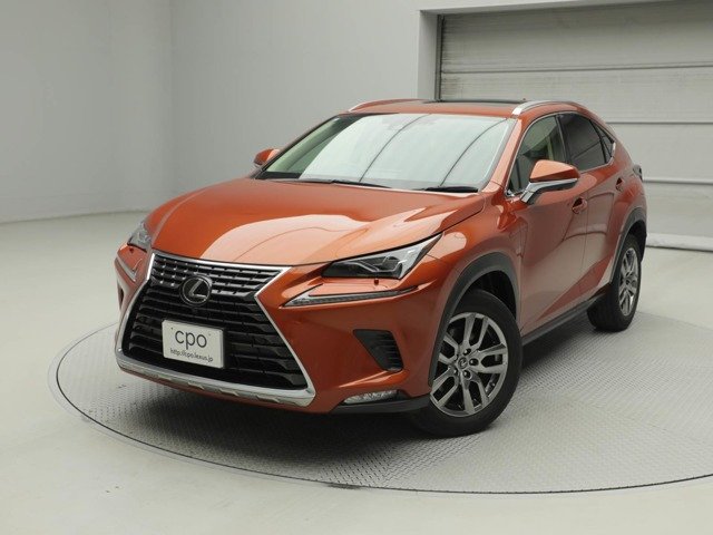 NX300 バージョンL 4WD