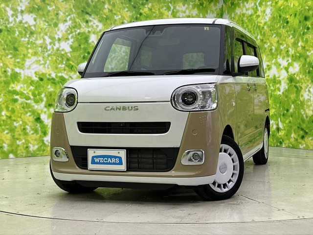 ムーヴキャンバスストライプス G