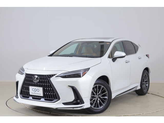 NX250 バージョンL