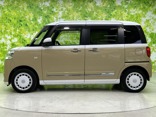 ムーヴキャンバスストライプス G