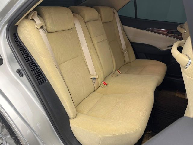 �㕔���Ȃ��C�ɂȂ�悤�ȃL�Y�E�����ւ��蓙�A�傫�ȃ_���[�W�͂Ȃ��A�ǍD�ȏ�Ԃł��B