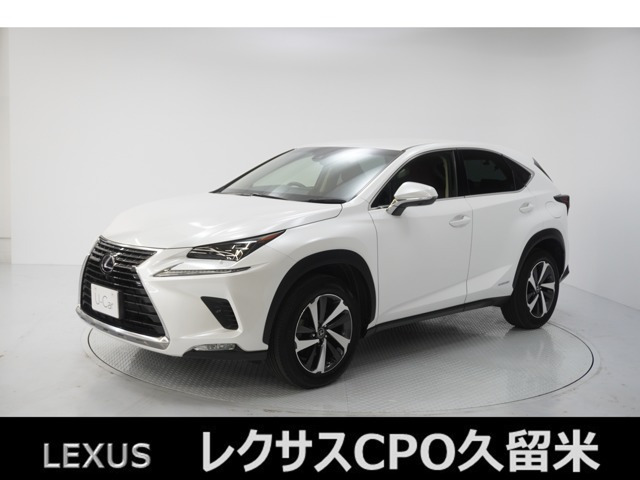 NX300h Iパッケージ