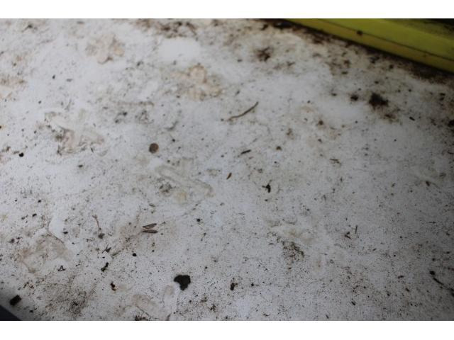 �݌Ɋm�F�ȂǂɊւ��ẮA���C�y�ɂ��₢���킹���������B