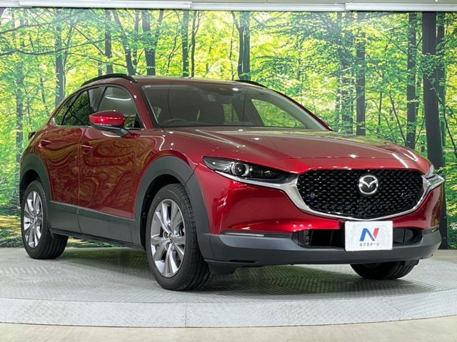 高透明度のガラス皮膜で撥水はもちろん、上質なツヤ・光沢を実現。紫外線や酸性雨から大切な愛車を保護し、色あせ・劣化を防止。「弾スプラッシュコート」、「弾プリミッサコート」からお選びいただけます。