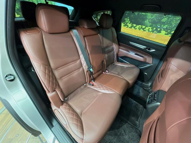 �㕔���Ȃ��C�ɂȂ�悤�ȃL�Y�E�����ւ��蓙�A�傫�ȃ_���[�W�͂Ȃ��A�ǍD�ȏ�Ԃł��B