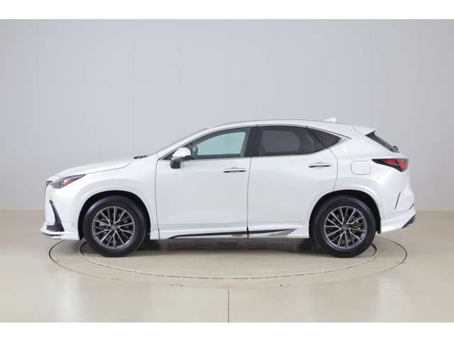 NX250 バージョンL