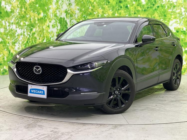 CX-302.0 20S ブラックトーンエディション 4WD
