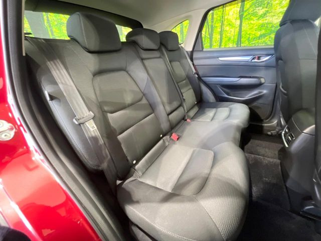 �㕔���Ȃ��C�ɂȂ�悤�ȃL�Y�E�����ւ��蓙�A�傫�ȃ_���[�W�͂Ȃ��A�ǍD�ȏ�Ԃł��B