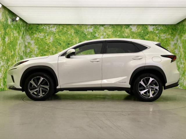 NX300h バージョンL