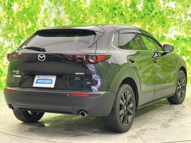 CX-302.0 20S ブラックトーンエディション 4WD