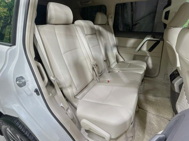 �㕔���Ȃ��C�ɂȂ�悤�ȃL�Y�E�����ւ��蓙�A�傫�ȃ_���[�W�͂Ȃ��A�ǍD�ȏ�Ԃł��B