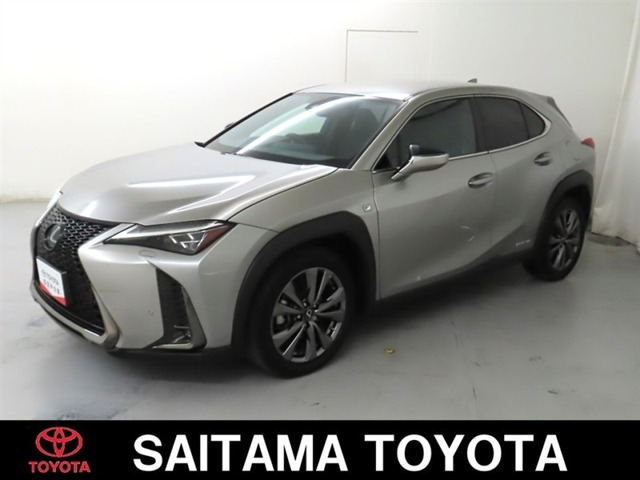 UX250h Fスポーツ