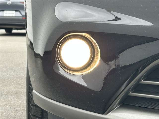 ムラーノ2.5 250XL