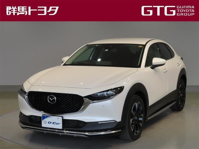 CX-302.0 20S