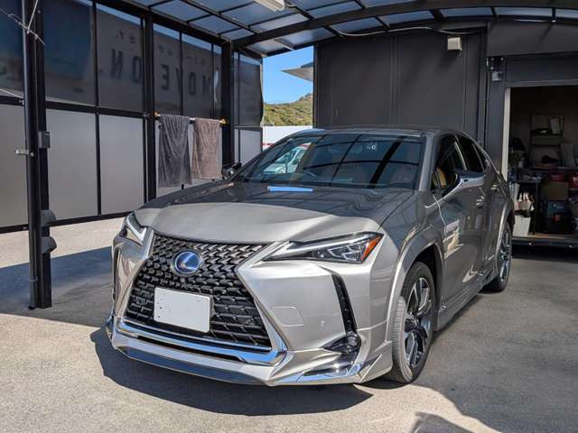 UX250h バージョンL