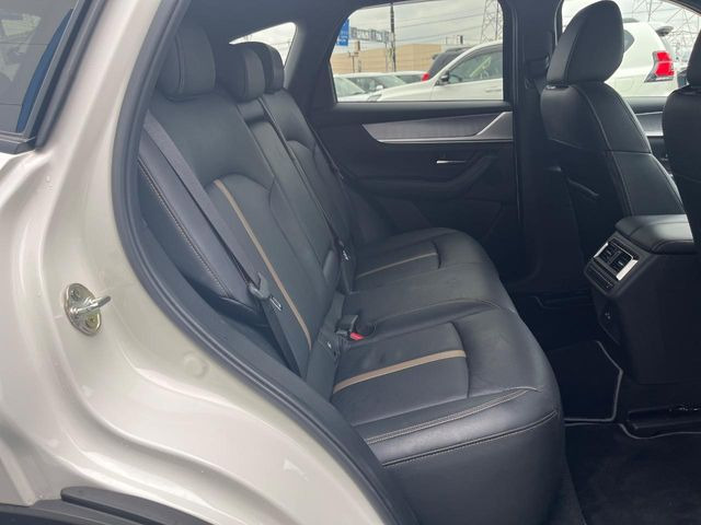 �㕔���Ȃ��C�ɂȂ�悤�ȃL�Y�E�����ւ��蓙�A�傫�ȃ_���[�W�͂Ȃ��A�ǍD�ȏ�Ԃł��B