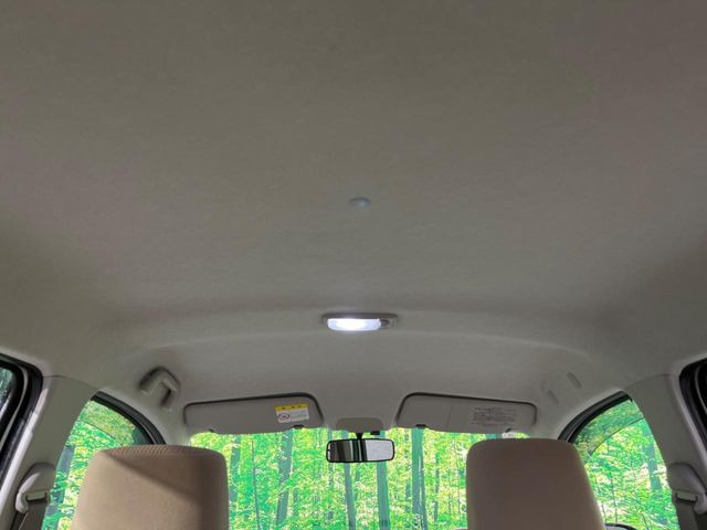 �㕔���Ȃ��C�ɂȂ�悤�ȃL�Y�E�����ւ��蓙�A�傫�ȃ_���[�W�͂Ȃ��A�ǍD�ȏ�Ԃł��B