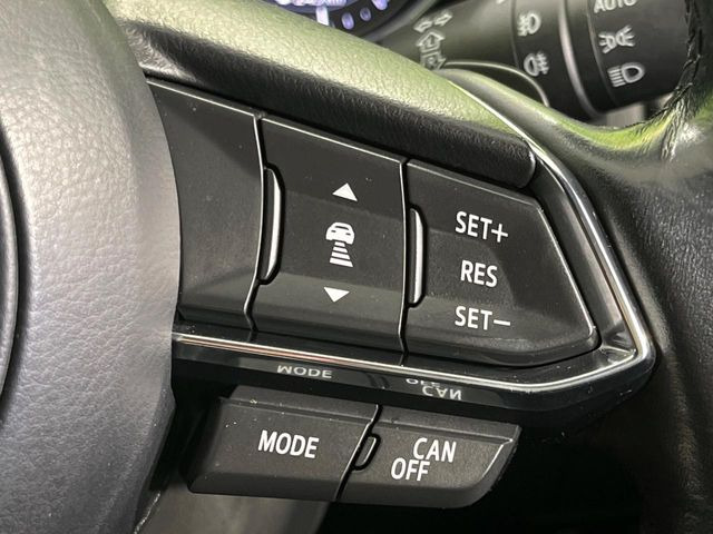 �y�}�c�_�E���[�_�[�N���[�Y�R���g���[���z�������H�ł̒��������s���y��!�����ő��x��ۂN���[�Y�R���g���[�����A�Փˌy���V�X�e���ƘA�g���A�O���̎ԗ������m���ĎԊԂ�ۂ悤�ɑ��x���߂��Ă���܂�!!