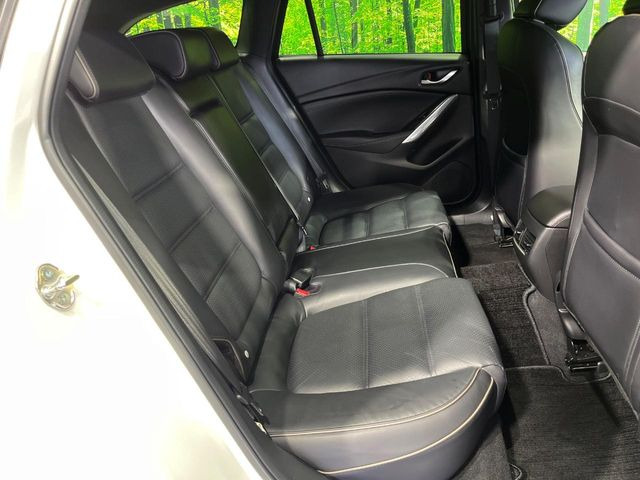 �㕔���Ȃ��C�ɂȂ�悤�ȃL�Y�E�����ւ��蓙�A�傫�ȃ_���[�W�͂Ȃ��A�ǍD�ȏ�Ԃł��B