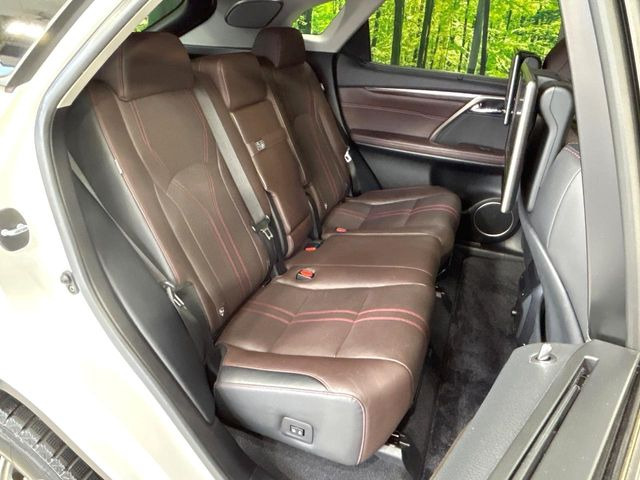 �㕔���Ȃ��C�ɂȂ�悤�ȃL�Y�E�����ւ��蓙�A�傫�ȃ_���[�W�͂Ȃ��A�ǍD�ȏ�Ԃł��B