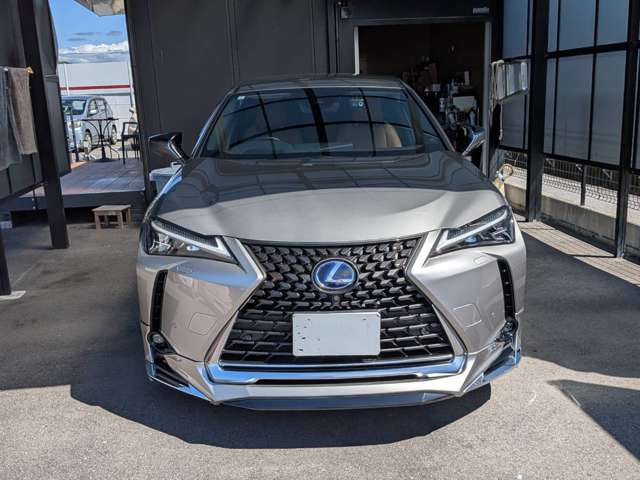 UX250h バージョンL