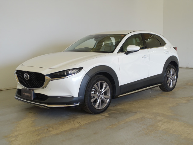 CX-30(�}�c�_) 2.0 20S L�p�b�P�[�W ���Îԉ摜