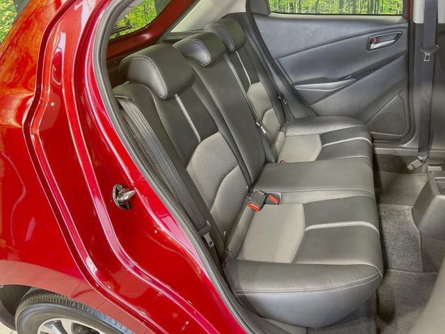 �㕔���Ȃ��C�ɂȂ�悤�ȃL�Y�E�����ւ��蓙�A�傫�ȃ_���[�W�͂Ȃ��A�ǍD�ȏ�Ԃł��B