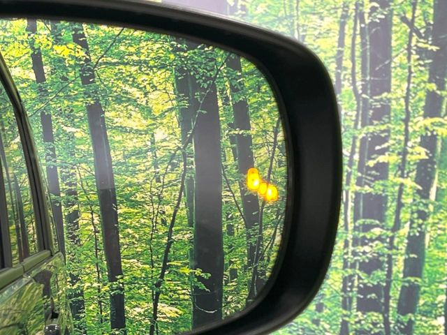 �y�u���C���h�X�|�b�g���j�^�[�z���s���A�h�A�~���[�̎��p�ɂȂ�₷���ӏ��Ɍ㑱�Ԃ��ڋ߂���ƃT�C�h�~���[�t�߂Ɍx����\���A�h���C�o�[�ɒ��ӊ��N�����Ă���܂��B