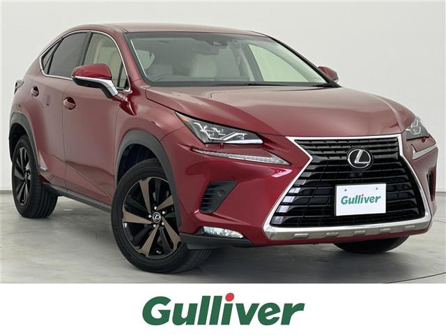 NX300h バージョンL