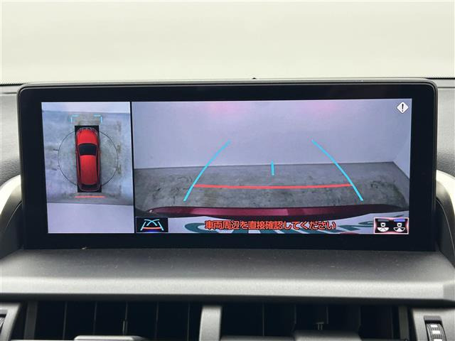 NX300h スパイス&amp;シック