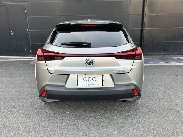 UX250h グレイスフル エクスプローラー