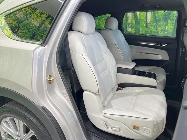 �㕔���Ȃ��C�ɂȂ�悤�ȃL�Y�E�����ւ��蓙�A�傫�ȃ_���[�W�͂Ȃ��A�ǍD�ȏ�Ԃł��B