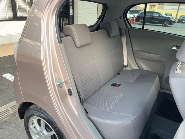 �㕔���Ȃ��C�ɂȂ�悤�ȃL�Y�E�����ւ��蓙�A�傫�ȃ_���[�W�͂Ȃ��A�ǍD�ȏ�Ԃł��B