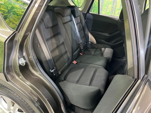 �㕔���Ȃ��C�ɂȂ�悤�ȃL�Y�E�����ւ��蓙�A�傫�ȃ_���[�W�͂Ȃ��A�ǍD�ȏ�Ԃł��B