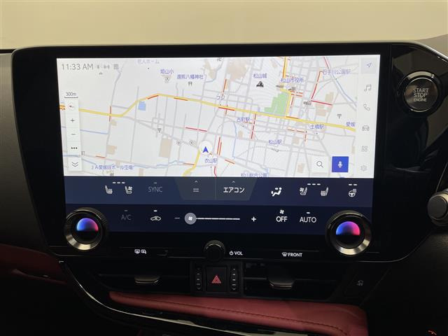 NX250 バージョンL