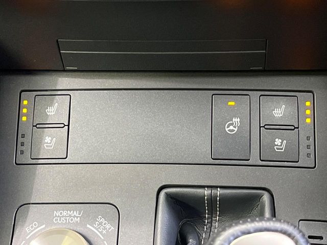 �y�V�[�g�x���`���[�V�����z�ď�͗��������ł��K��w���̔M�⃀����h���A�~�̓G�A�R�������������܂��ă|�J�|�J��!�G�߂��킸���K�ɉ߂����܂��B