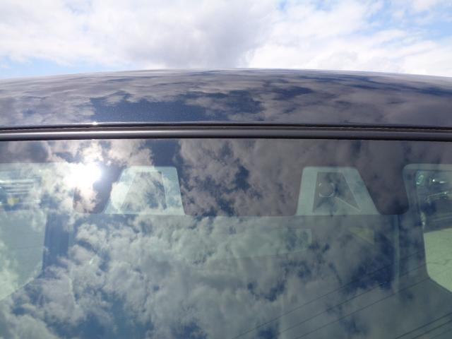 ハスラータフワイルド