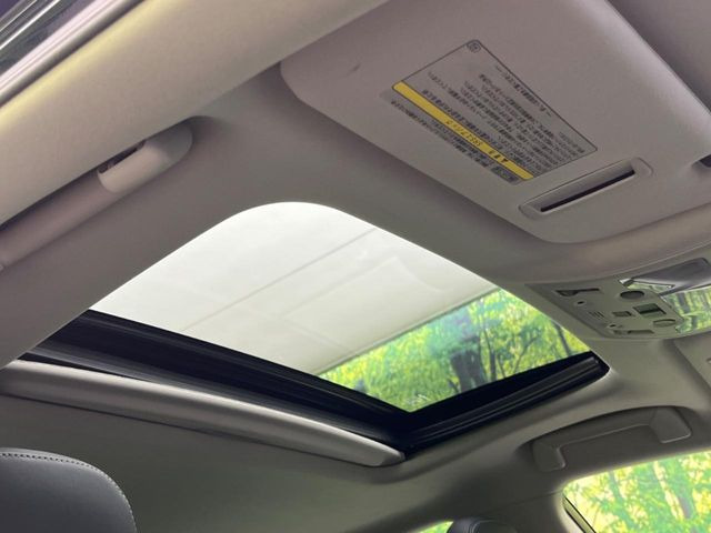 �y�T�����[�t�z�J���������Ղ�̊󏭑����A�T�����[�t����������Ă��܂�!�ԓ��ɖ�����������ꂽ��i�F���y���ވȊO�ɂ��A�ԓ��̋�C���ȒP�Ɋ��C�ł��ĉ��K�ł�!