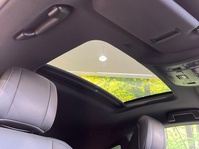 �y�T�����[�t�z�J���������Ղ�̊󏭑����A�T�����[�t����������Ă��܂�!�ԓ��ɖ�����������ꂽ��i�F���y���ވȊO�ɂ��A�ԓ��̋�C���ȒP�Ɋ��C�ł��ĉ��K�ł�!