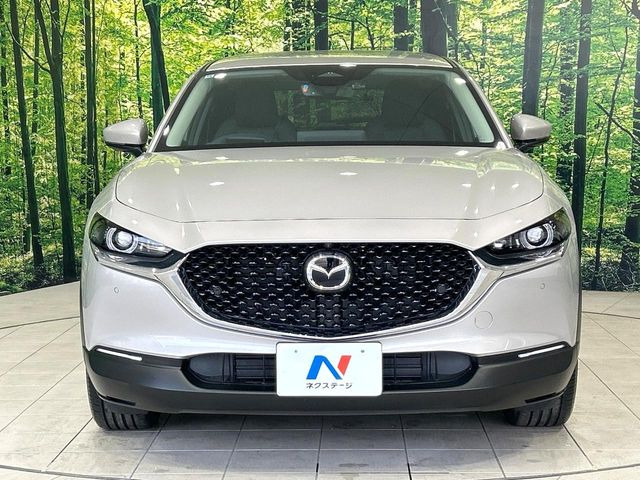 �O���[�v���݌ɐ���30,000��!!�S���̌n��X���烁�[�J�[�E�Ԏ��킸���Љ�o����̂ŁA���Ȃ��Ƀs�b�^���̂��Ԃ�������͂��ł���܂��͂��₢���킹��������