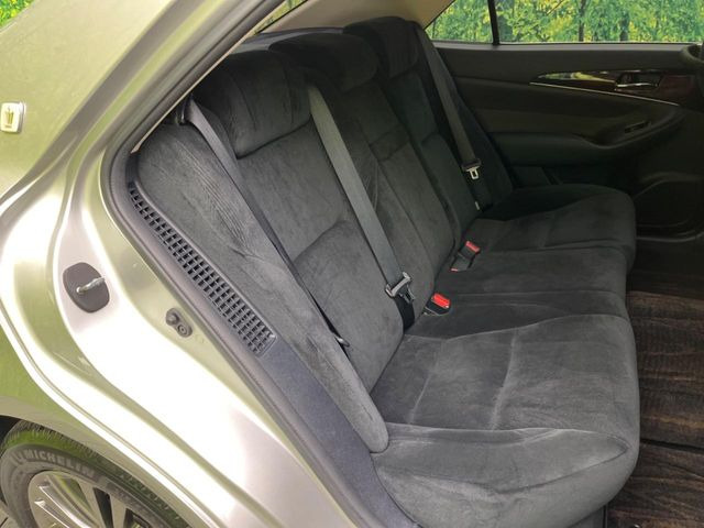 �㕔���Ȃ��C�ɂȂ�悤�ȃL�Y�E�����ւ��蓙�A�傫�ȃ_���[�W�͂Ȃ��A�ǍD�ȏ�Ԃł��B