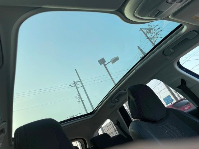 ���p�m���~�b�N�K���X���[�t:�唗�͂̃p�m���}���[�t�́A�㕔���Ȃɂ܂ő����Ă���A�J���I�ȋ�Ԃ����y���݂��������܂��B