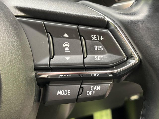 �y�}�c�_�E���[�_�[�N���[�Y�R���g���[���z�������H�ł̒��������s���y��!�����ő��x��ۂN���[�Y�R���g���[�����A�Փˌy���V�X�e���ƘA�g���A�O���̎ԗ������m���ĎԊԂ�ۂ悤�ɑ��x���߂��Ă���܂�!!