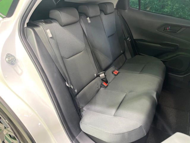 �㕔���Ȃ��C�ɂȂ�悤�ȃL�Y�E�����ւ��蓙�A�傫�ȃ_���[�W�͂Ȃ��A�ǍD�ȏ�Ԃł��B