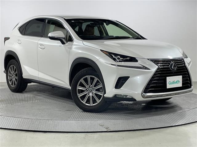 NX300 Iパッケージ