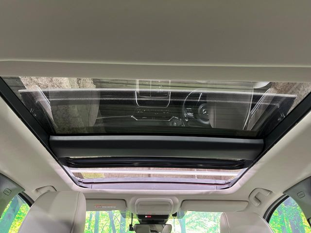 �y�T�����[�t�z�J���������Ղ�̊󏭑����A�T�����[�t����������Ă��܂�!�ԓ��ɖ�����������ꂽ��i�F���y���ވȊO�ɂ��A�ԓ��̋�C���ȒP�Ɋ��C�ł��ĉ��K�ł�!