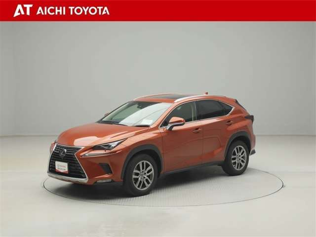 NX300 バージョンL 4WD